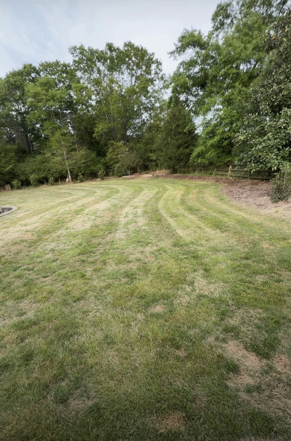 Large yard cleanup & cut