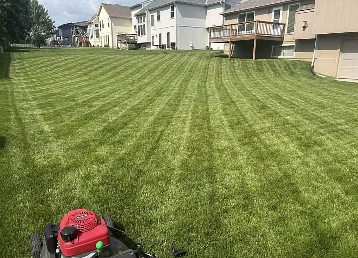Striped residential backyard mow